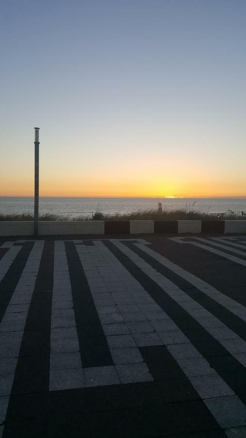 Near The Beach Zandvoort Bagian luar foto